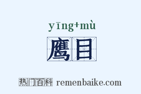 鹰目是什么意思的图片